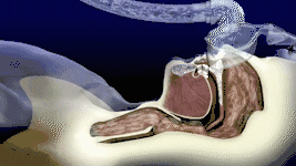 我國(guó)3000萬(wàn)高血壓患者都有這毛?。∧阒绬?？